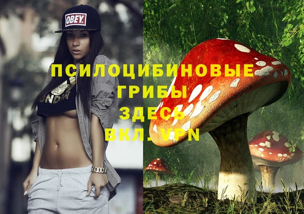 стаф Лагань