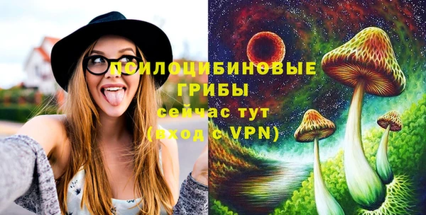 гашик Кулебаки