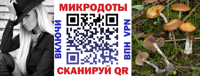 где можно купить   Мамоново  ссылка на мегу вход  Псилоцибиновые грибы мицелий 